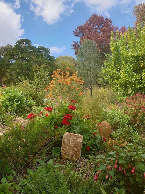 The Golden Assayer's Garden
